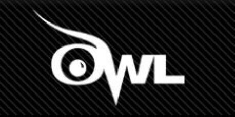 Purdue Owl